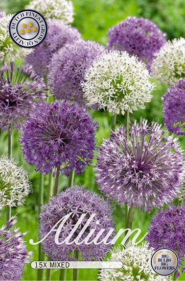Allium Mix 15-pakning